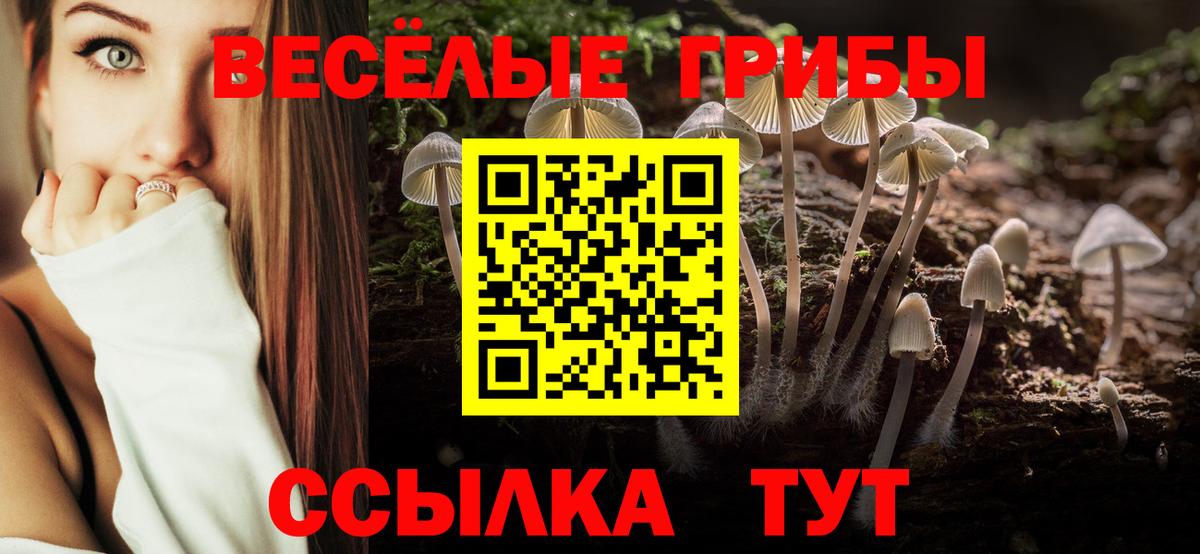 Галлюциногенные грибы мухоморы Карталы